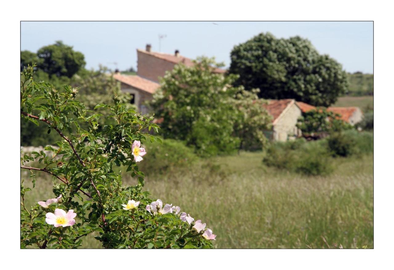 Le Mas De La Chadeniere วิลล์เนิฟเดอแบร์ก ภายนอก รูปภาพ